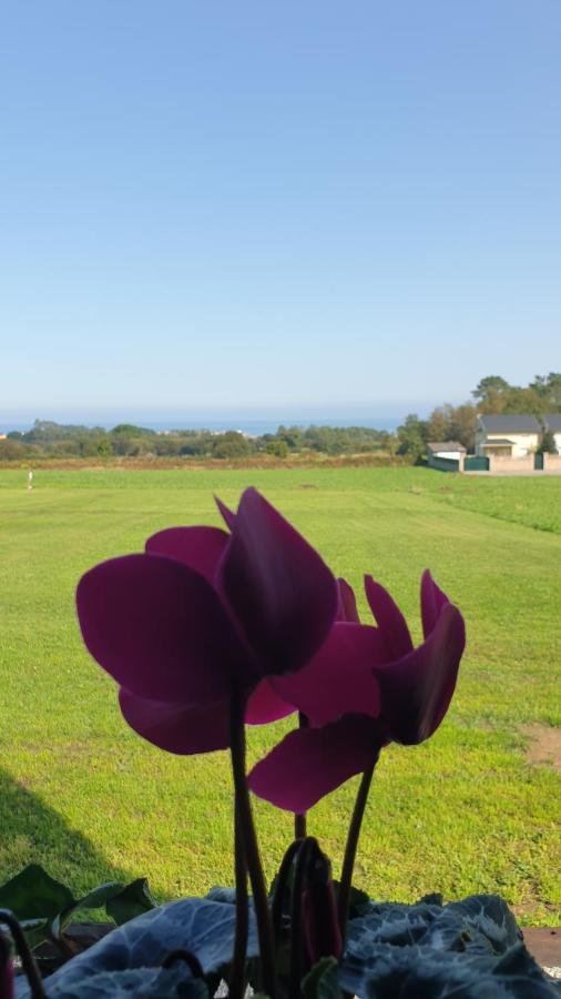 "O Cabazo De Reinante" Villa Barreiros Buitenkant foto